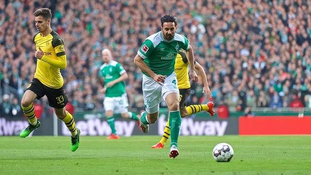 南宫28- 德国女足队员 